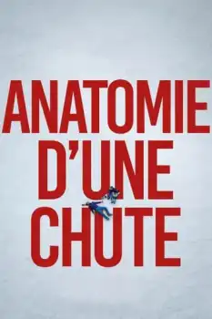 Bir Düşüşün Anatomisi