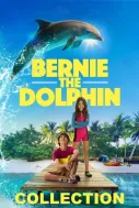 Bernie the Dolphin