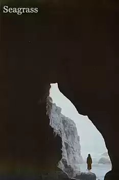 Deniz Otu