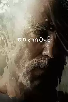 Anemone