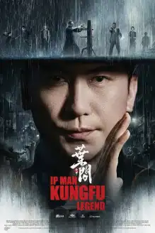 Ip Man Kung Fu Efsanesi