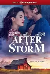 After the Storm izle