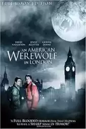 Kurt Adam Londra’da izle
