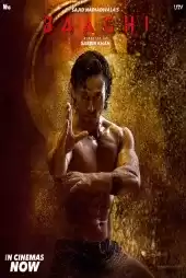 Baaghi izle