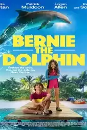 Yunus Bernie 