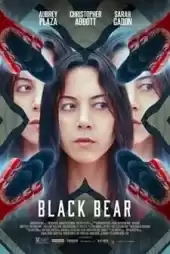 Black Bear