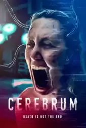 Cerebrum izle