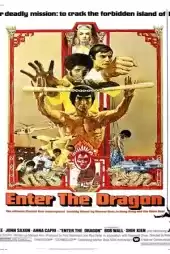 Ejder Kalesi izle