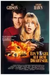 Teldeki Kuş izle