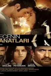 Gecenin Kanatları 