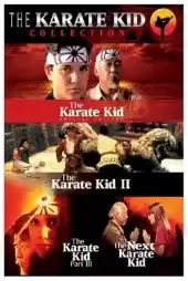 Karateci Çocuk 2 izle