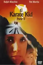 Karateci Çocuk 3 izle