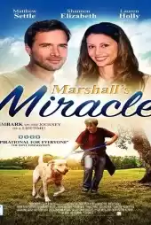 Marshall the Miracle Dog