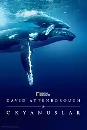 David Attenborough ile Okyanuslar 