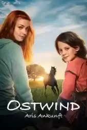 Windstorm 4 Ari'nin Gelişi