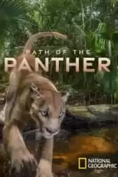 Path of the Panther