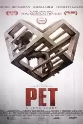 Pet