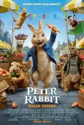 Peter Rabbit Kaçak Tavşan 2