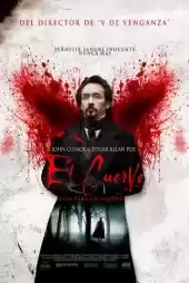 Kuzgun izle