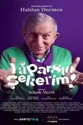Yaparsin Sekerim!